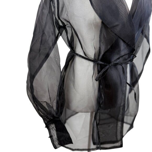 NWT IVIVI Collection Sheer Black Organza Trench Jacket - Picture 4 of 8
